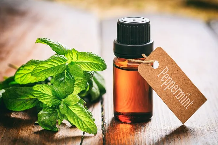 Peppermint oil and IBS evidence
